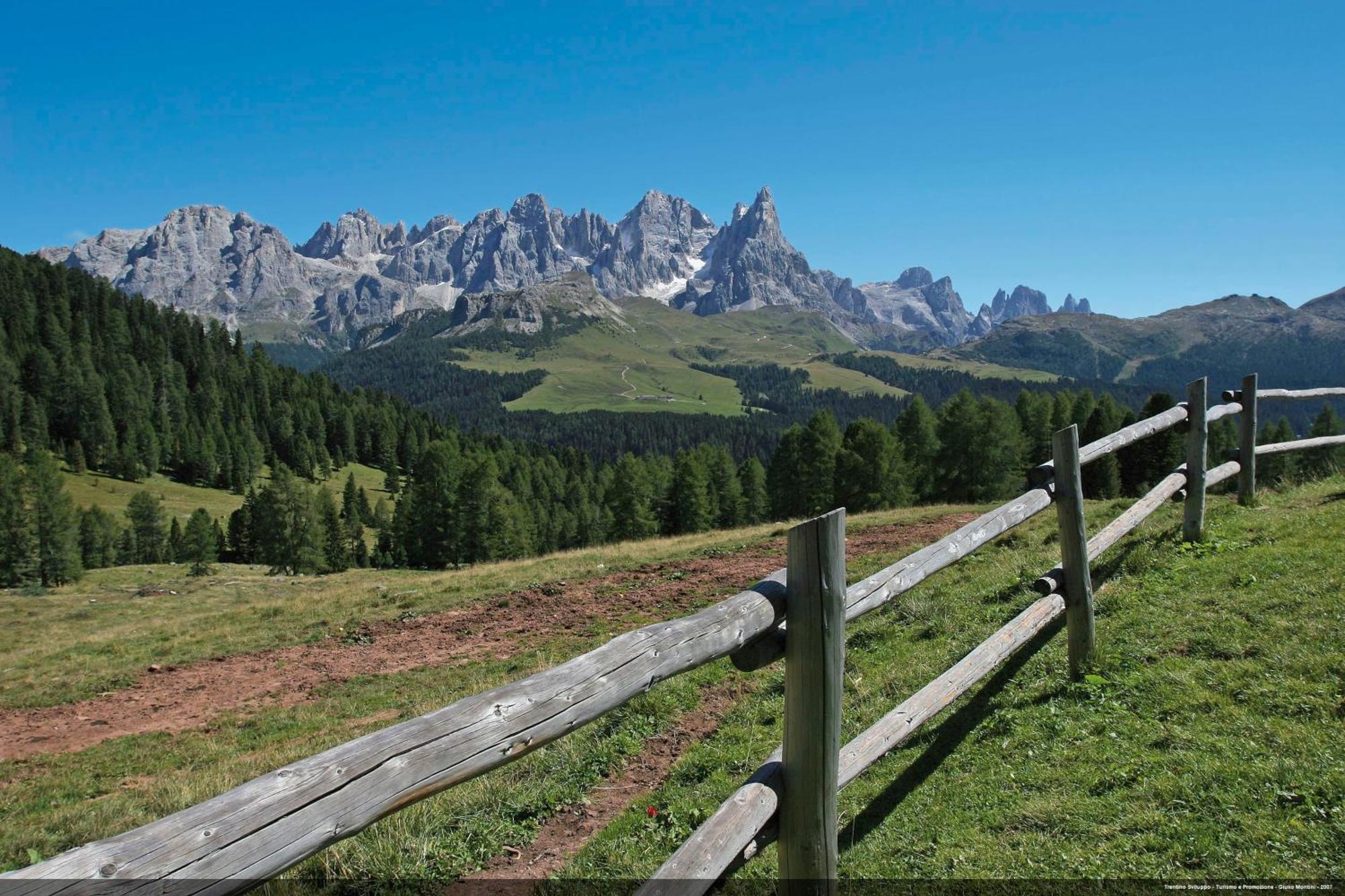 Апартаменты Casa 4 Pioppi - Agenzia Dolomiti Affitti Кавалезе Экстерьер фото