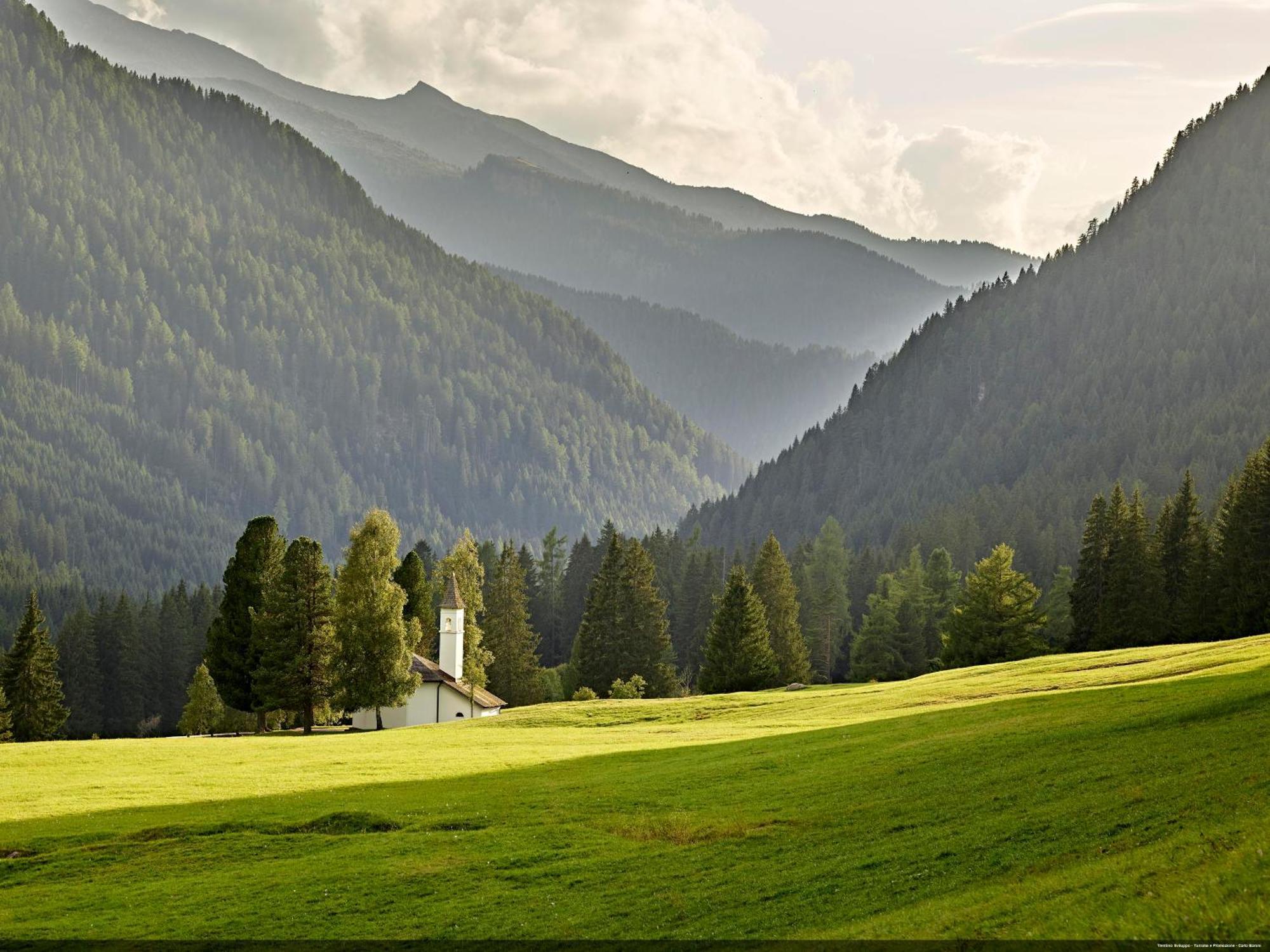 Апартаменты Casa 4 Pioppi - Agenzia Dolomiti Affitti Кавалезе Экстерьер фото